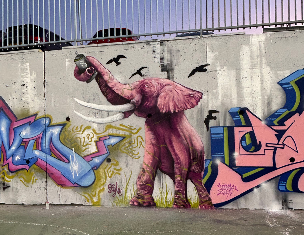 ציור קיר תלת מימד על חזית מבנה ציבורי בעיצוב אמן ציורי קיר איתי נבט